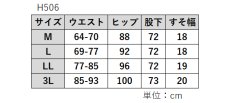 画像10: H-506　D.D.Dソフトパウダー裏起毛パンツ　M-3L (10)