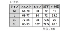 画像10: H-1190　接触冷感・防透・UVカット・遮熱の高品質素材！　ドライマスターリンクルD.D.Dストレートパンツ　M-3L　 (10)