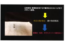 画像5: ★当社オリジナル★　1001　業界初の床ずれ防止、転倒によるケガ防止、腰痛予防の履くマットレス！　幸せラクラク介護パンツ２パーツ　F-3L (5)